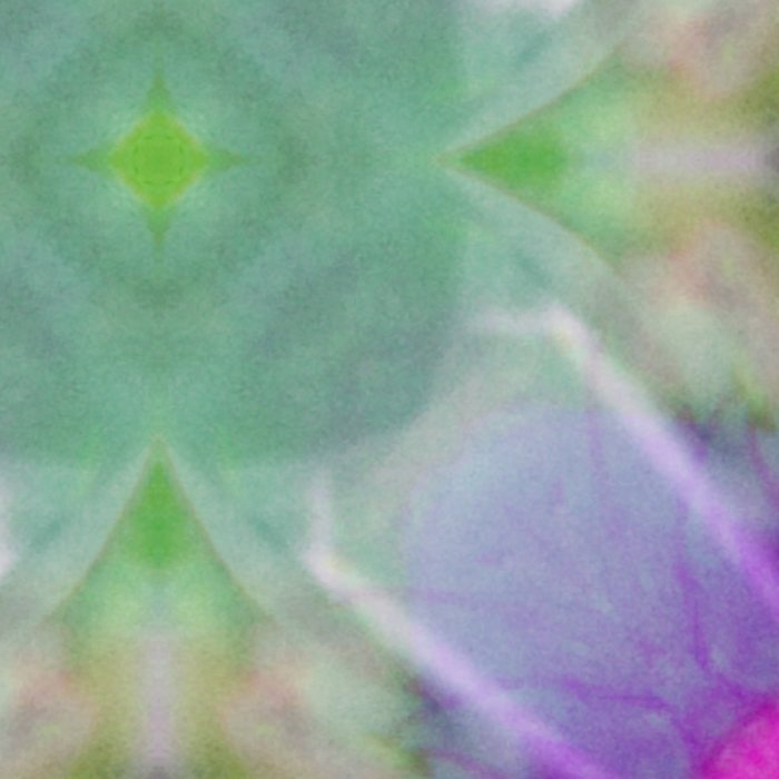 Center close-up thumbnail