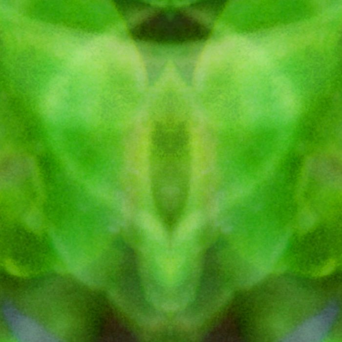 Close-up detail thumbnail